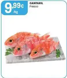 Intermarché Cantaril promoção
