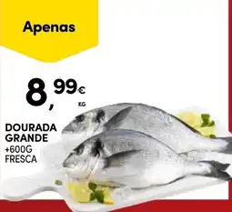 Continente Dourada grande promoção