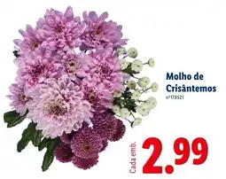 Lidl Molho de Crisântemos promoção