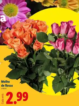 Lidl Molho de Rosas promoção