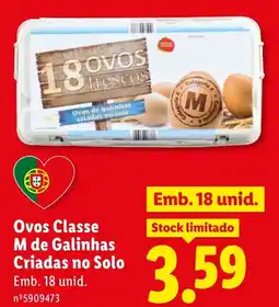 Lidl Ovos Classe M de Galinhas Criadas no Solo promoção