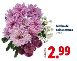 Lidl Molho de Crisântemos promoção