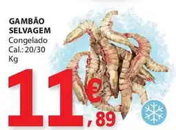 E.Leclerc Gambão selvagem promoção