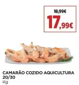 Supercor Camarão cozido aquicultura promoção