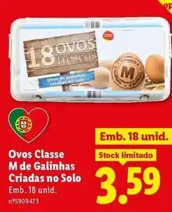 Lidl Ovos classe m de galinhas criadas no solo promoção