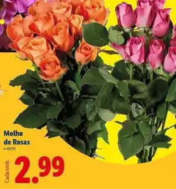 Lidl Molho de rosas promoção