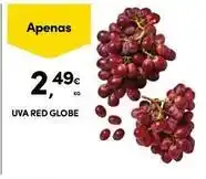 Continente Bom dia Globe - uva red promoção