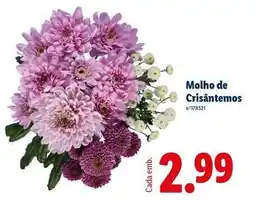 Lidl Molho de crisantemos promoção