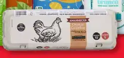 Amanhecer Ovos de Galinhas Criadas promoção