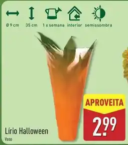ALDI Lirio halloween promoção