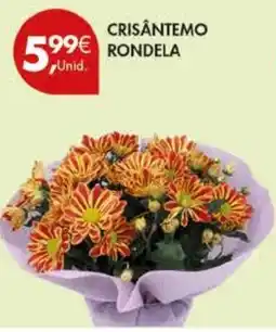 Pingo Doce Crisântemo rondela promoção