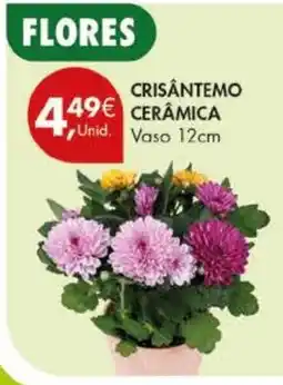 Pingo Doce Crisântemo cerâmica promoção