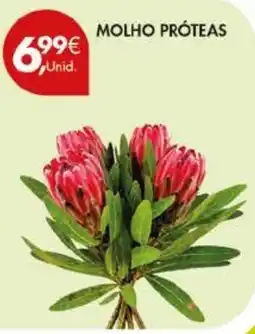Pingo Doce molho próteas promoção