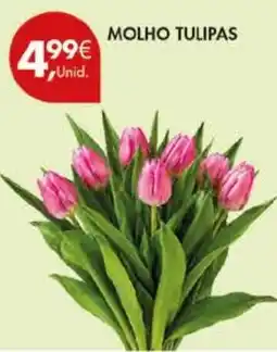 Pingo Doce molho tulipas promoção