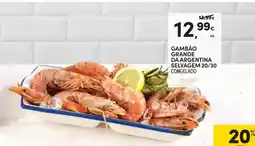 Continente Gambão grande da argentina selvagem 20/30 promoção
