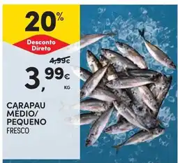 Continente Carapau médio/pequeno fresco promoção