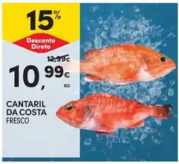 Continente Cantaril da costa fresco promoção