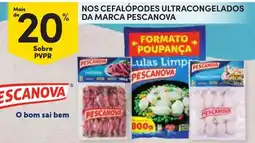 Continente Cefalópodes ultracongelados pescanova promoção