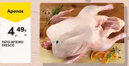 Continente Pato inteiro fresco promoção