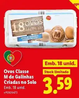 Lidl Ovos Classe M de Galinhas Criadas no Solo promoção