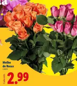 Lidl Molho de Rosas promoção