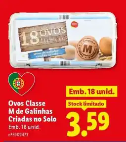 Lidl Ovos Classe M de Galinhas Criadas no Solo promoção