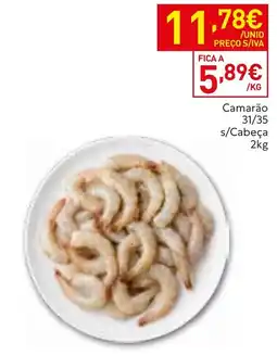 Recheio Camarão 31/35 s/Cabeça promoção