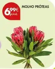 Pingo Doce Molho proteas promoção