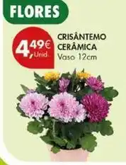 Pingo Doce Crisantemo cerámica promoção
