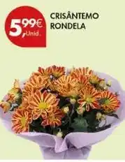 Pingo Doce Crisantemo rondela promoção