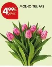 Pingo Doce Molho tulipas promoção