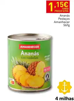 Recheio Amanhecer ananás em rodelas promoção
