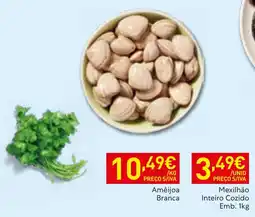 Recheio Amêijoa Branca promoção