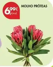 Pingo Doce Molho proteas promoção