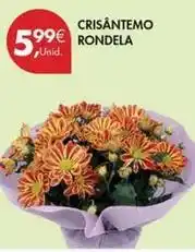 Pingo Doce Crisantemo rondela promoção