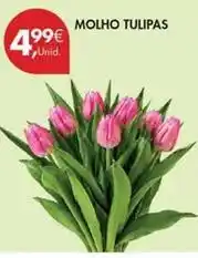Pingo Doce Molho tulipas promoção
