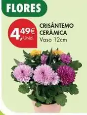 Pingo Doce Crisantemo ceramica promoção
