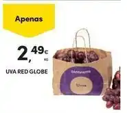 Globe - uva red
