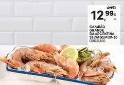 Continente Bom dia Gambão grande da argentina selvagem 20/30 promoção
