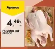 Continente Bom dia Pato - inteiro fresco promoção
