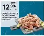 Continente Bom dia Gambão grande da argentina selvagem promoção