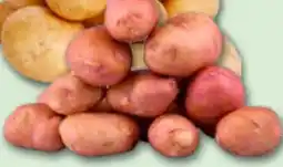 Recheio Batata Vermelha promoção