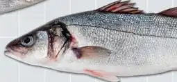Recheio Robalo Nacional promoção