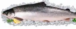 Recheio Salmão promoção