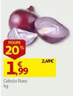Auchan Cebola Roxa promoção