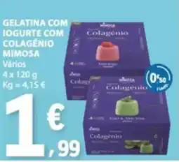 E.Leclerc Gelatina com iogurte com colagênio mimosa promoção
