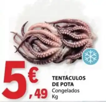 Tentáculos de pota congelados