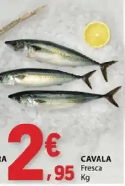 E.Leclerc raia inteira fresca promoção