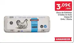 Amanhecer Ovos de galinhas criadas no solo promoção