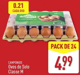ALDI Campónios ovos do solo classe m promoção
